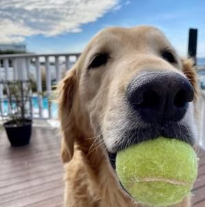 Meet your Posher, Cathy